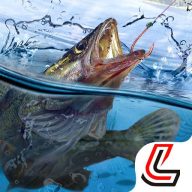 js6666澳门金沙手机版下载-js6666澳门金沙最新版下载v1.9