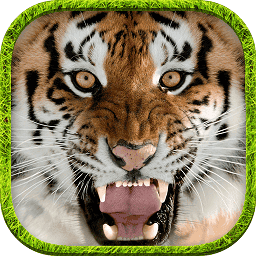 终极银河优越会的网址模拟器官方版下载-终极模拟银河优越会的网址游戏手机版下载 v1.5 安卓版